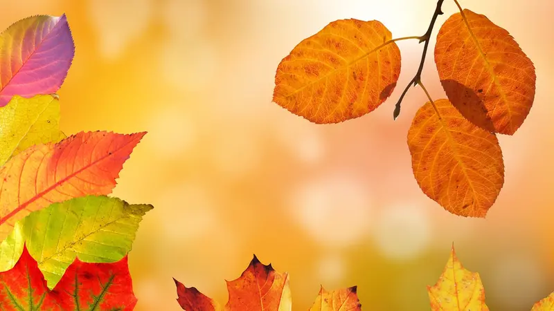 Finiamola con il banalizzare i nostri giorni - © www.giornaledibrescia.it