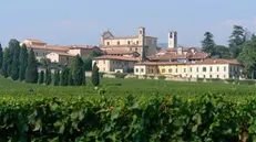 Uno scorcio che mostra la bellezza di Erbusco