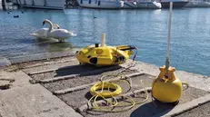 Il robot giallo che fotografa e localizza i rifiuti sui fondali - Foto tratta dai social