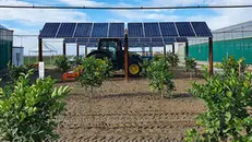 Pannelli agrivoltaici