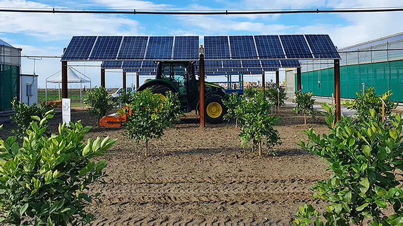 Pannelli agrivoltaici