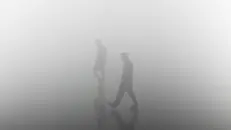 Due persone passeggiano nella nebbia