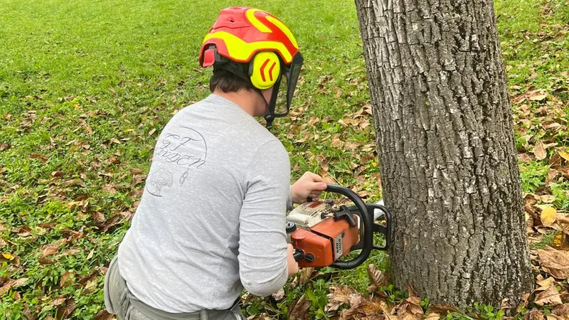 Francesco Guerini, giovane giardiniere