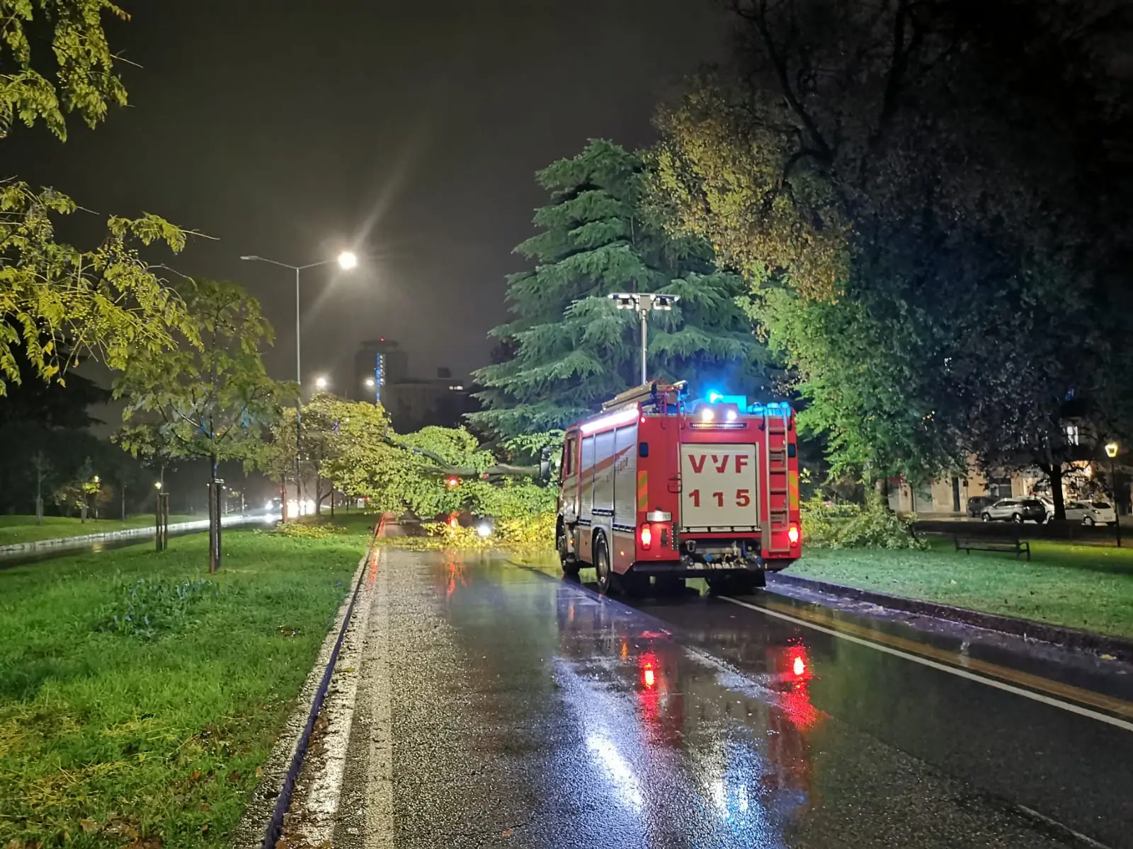 Via Cefalonia, l'albero caduto in mezzo alla strada