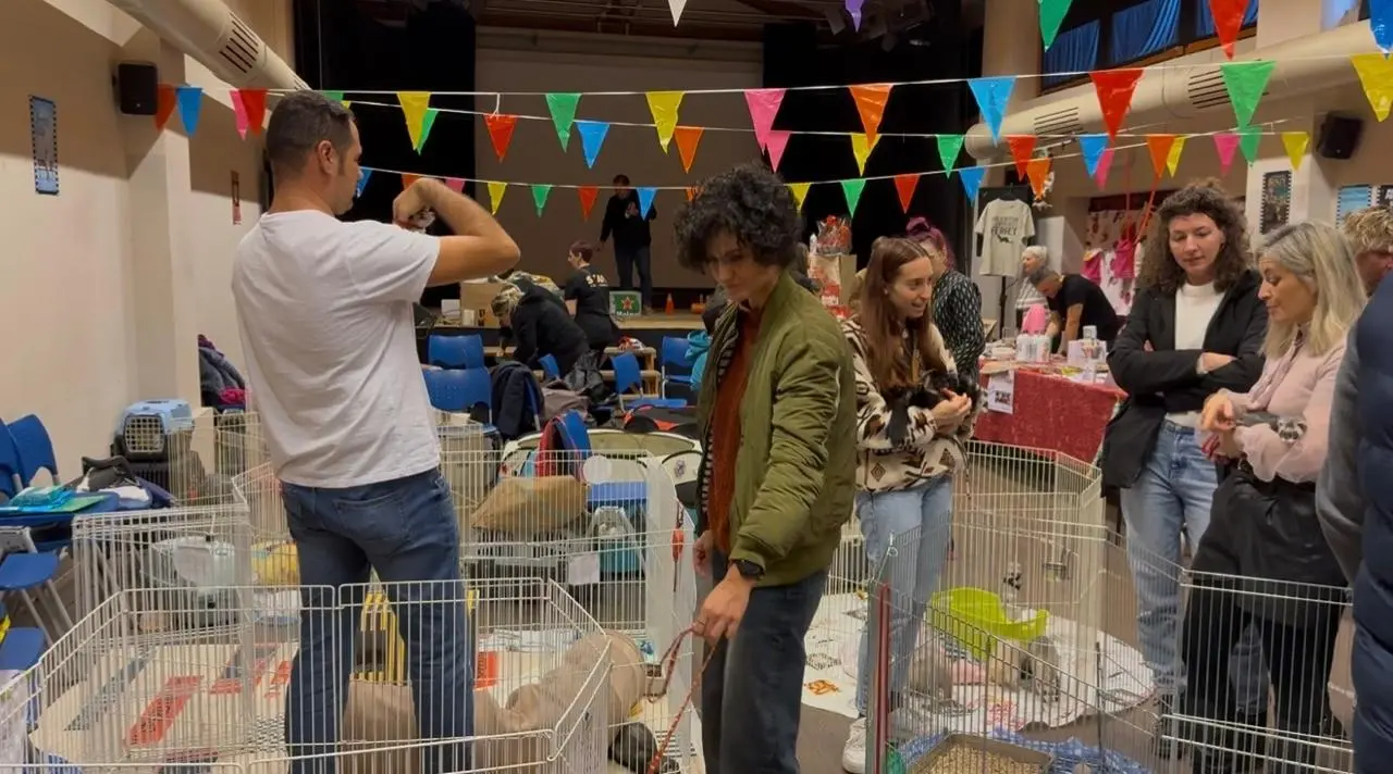 Il raduno nazionale dei furetti Pot-Pota a Brescia