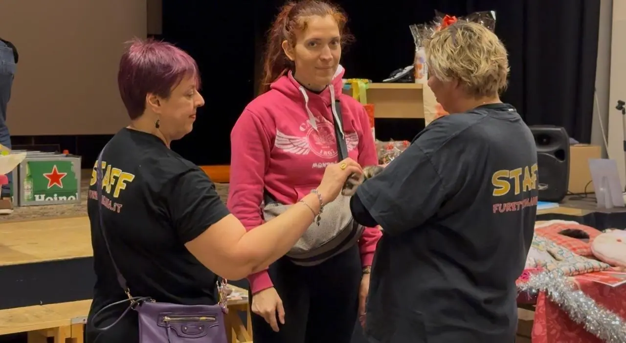 Il raduno nazionale dei furetti Pot-Pota a Brescia