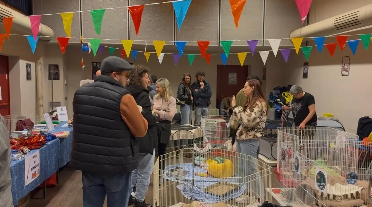 Il raduno nazionale dei furetti Pot-Pota a Brescia