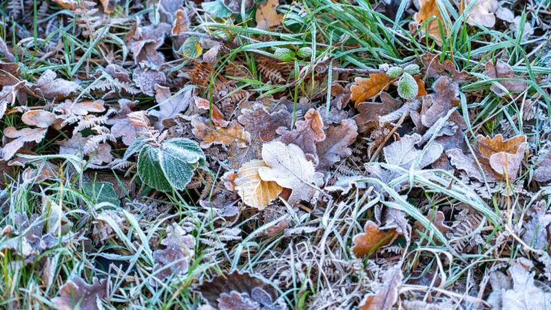 Da mercoledì previsto un brusco calo delle temperature