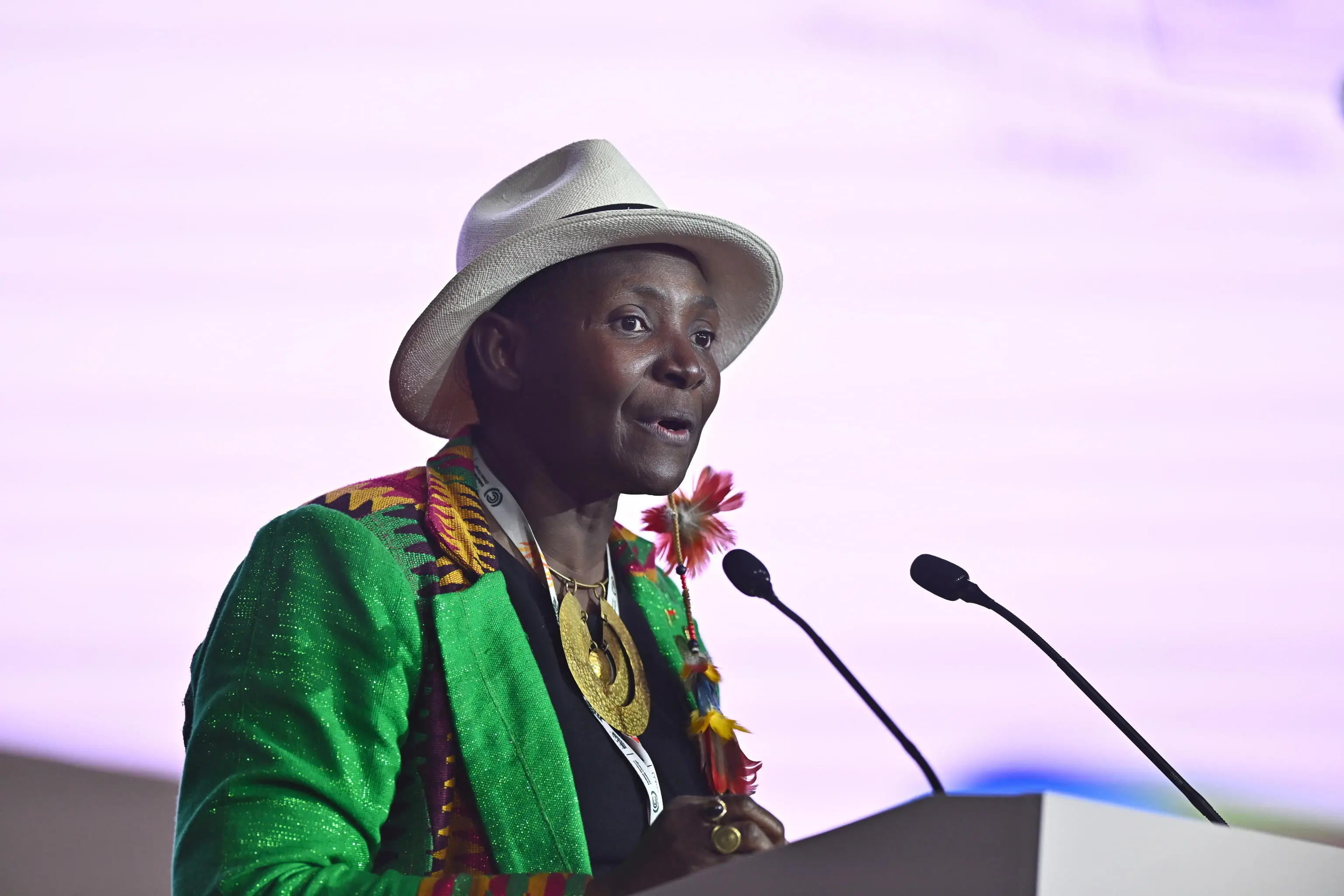 Immagini dalla Cop30 in Brasile