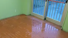 Le condizioni in cui versa la palestra del Tartaglia-Olivieri