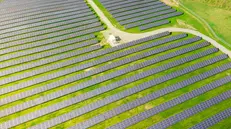 Pannelli agrovoltaici