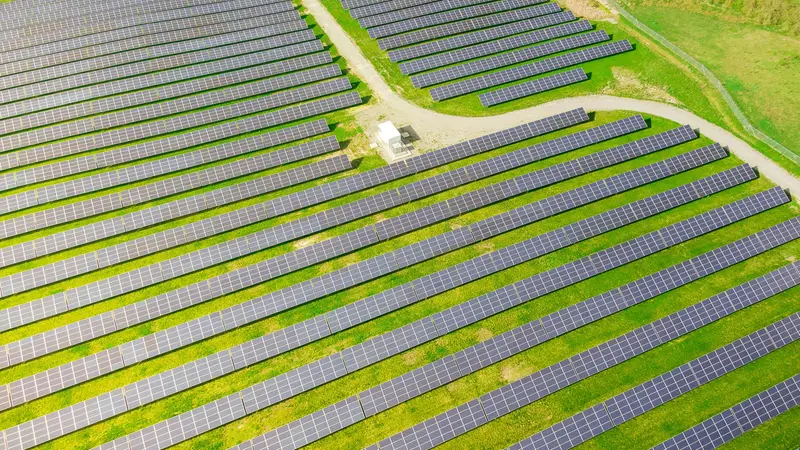 Pannelli agrovoltaici