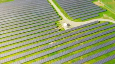 Pannelli agrovoltaici