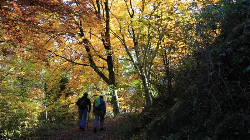 Escursioni sul Garda tra i colori d'autunno