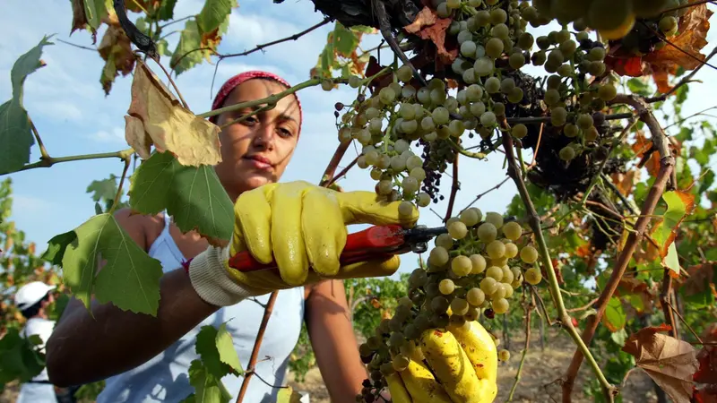Attività stagionali - © www.giornaledibrescia.it