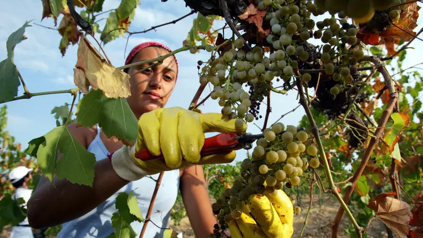 Attività stagionali - © www.giornaledibrescia.it