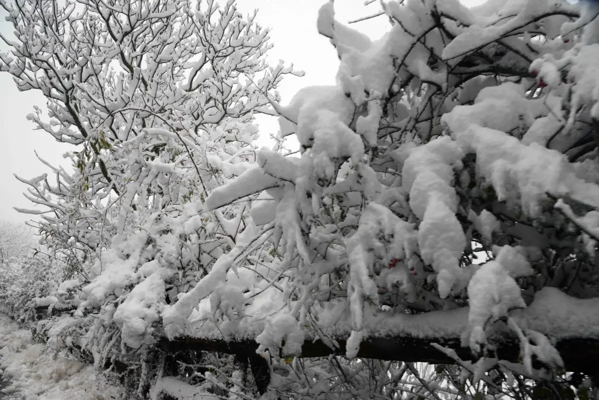 La neve in Maddalena