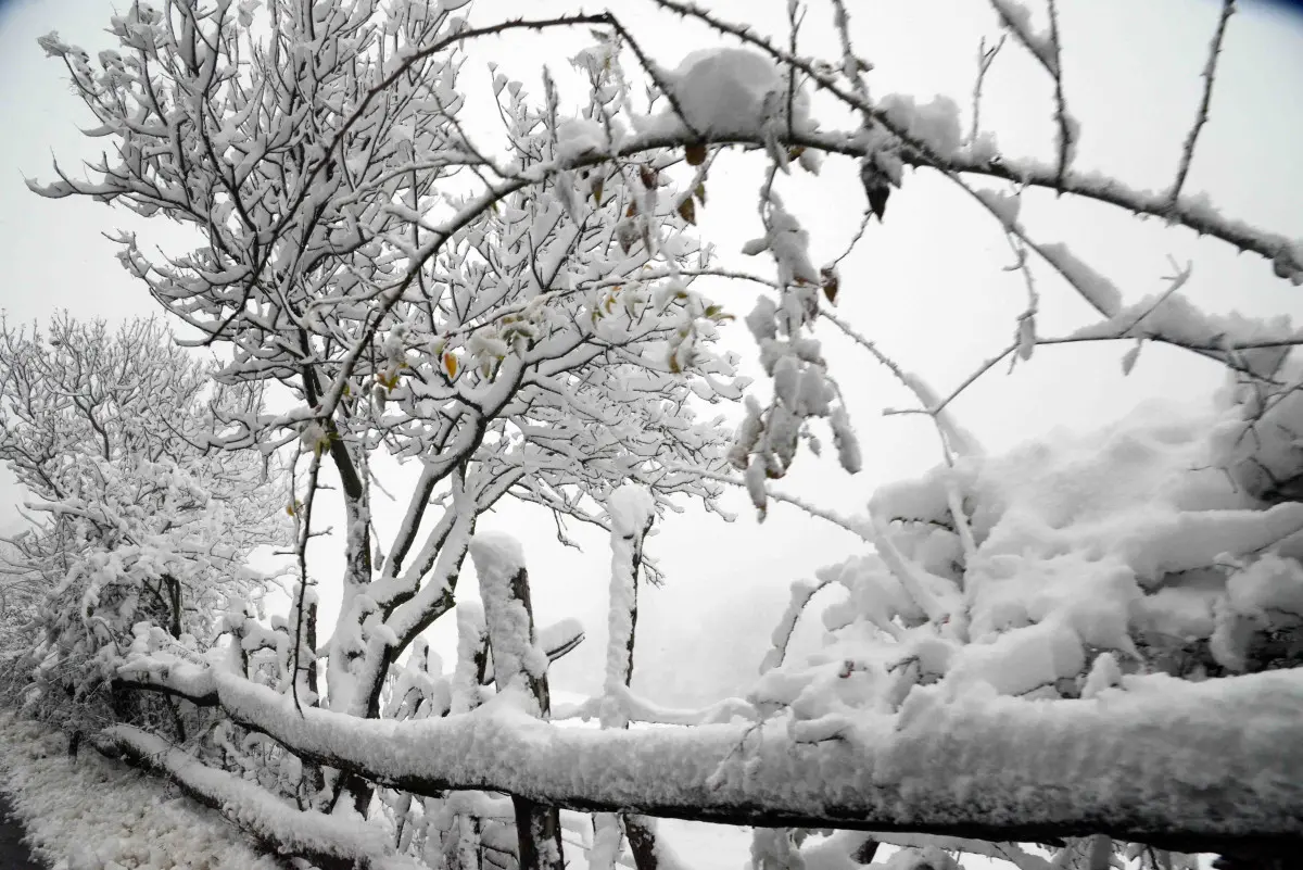 La neve in Maddalena