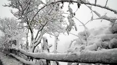 La neve in Maddalena