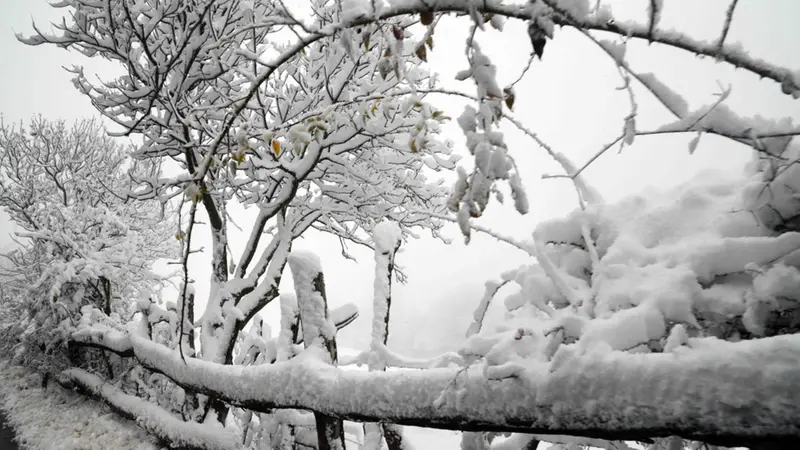 La neve in Maddalena
