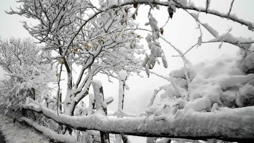 La neve in Maddalena