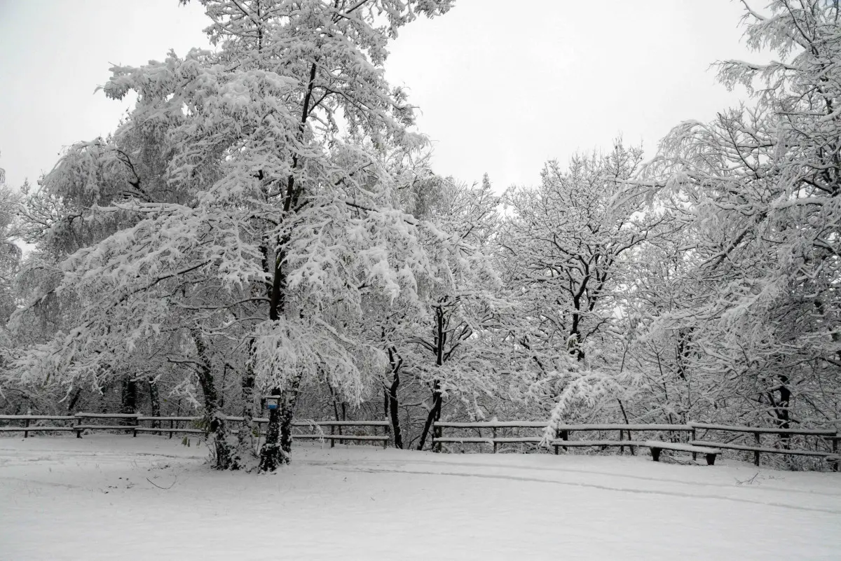 La neve in Maddalena