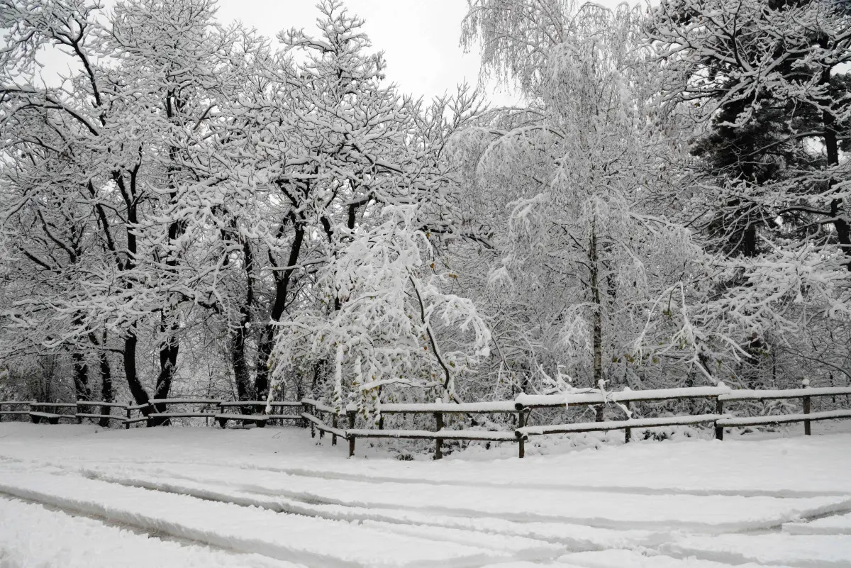 La neve in Maddalena