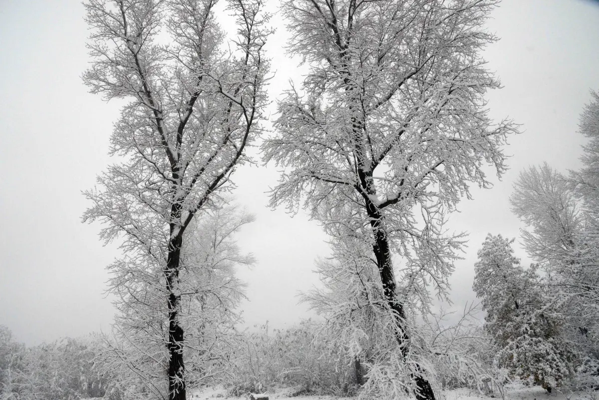 La neve in Maddalena