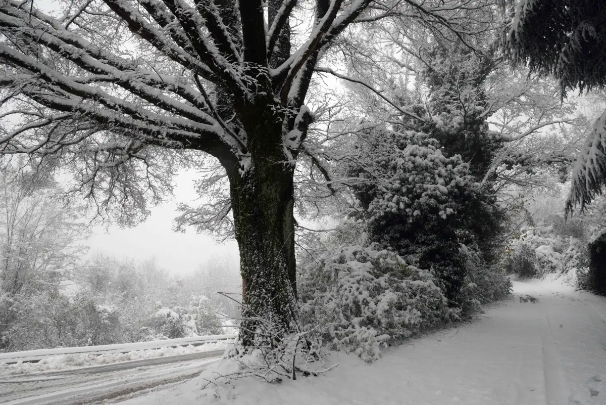 La neve in Maddalena