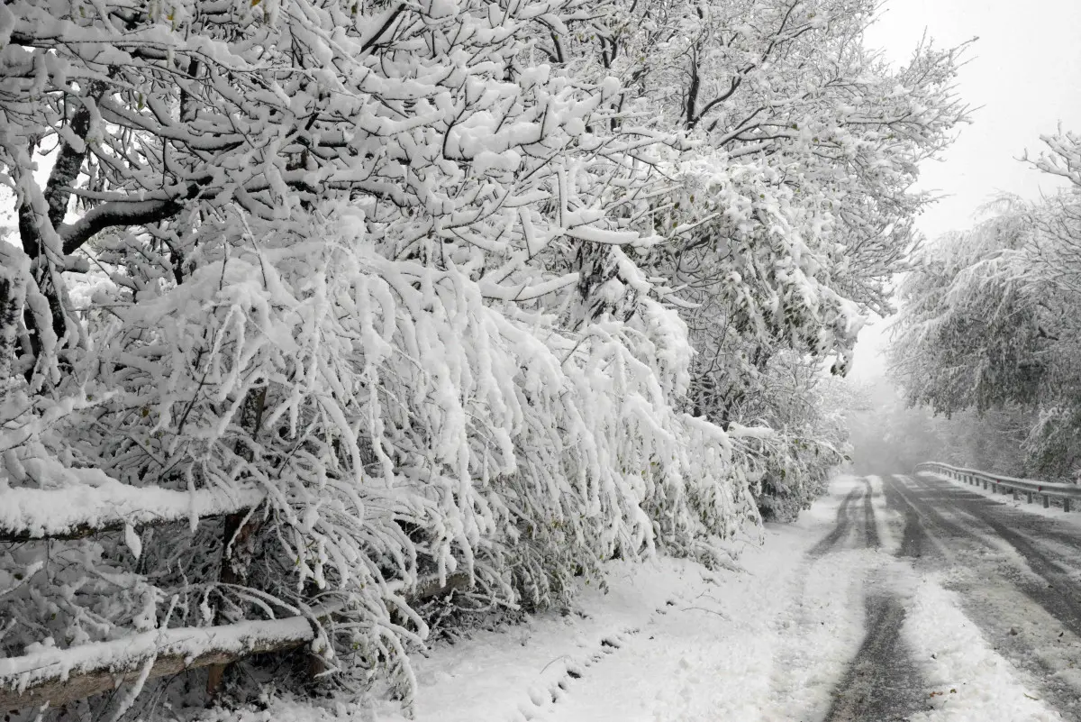 La neve in Maddalena