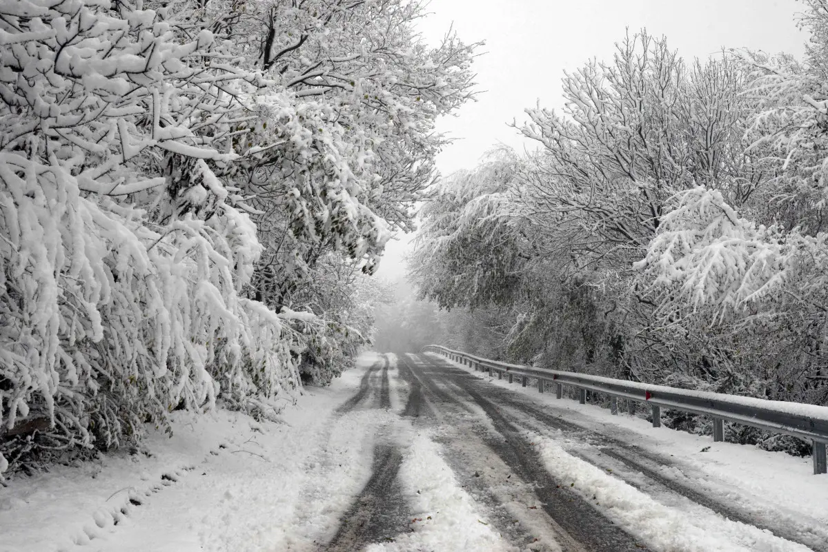 La neve in Maddalena