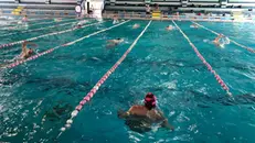 Nuotatori in corsia