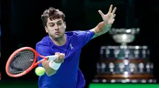 Fabio Cobolli durante la partita - Ansa © www.giornaledibrescia.it