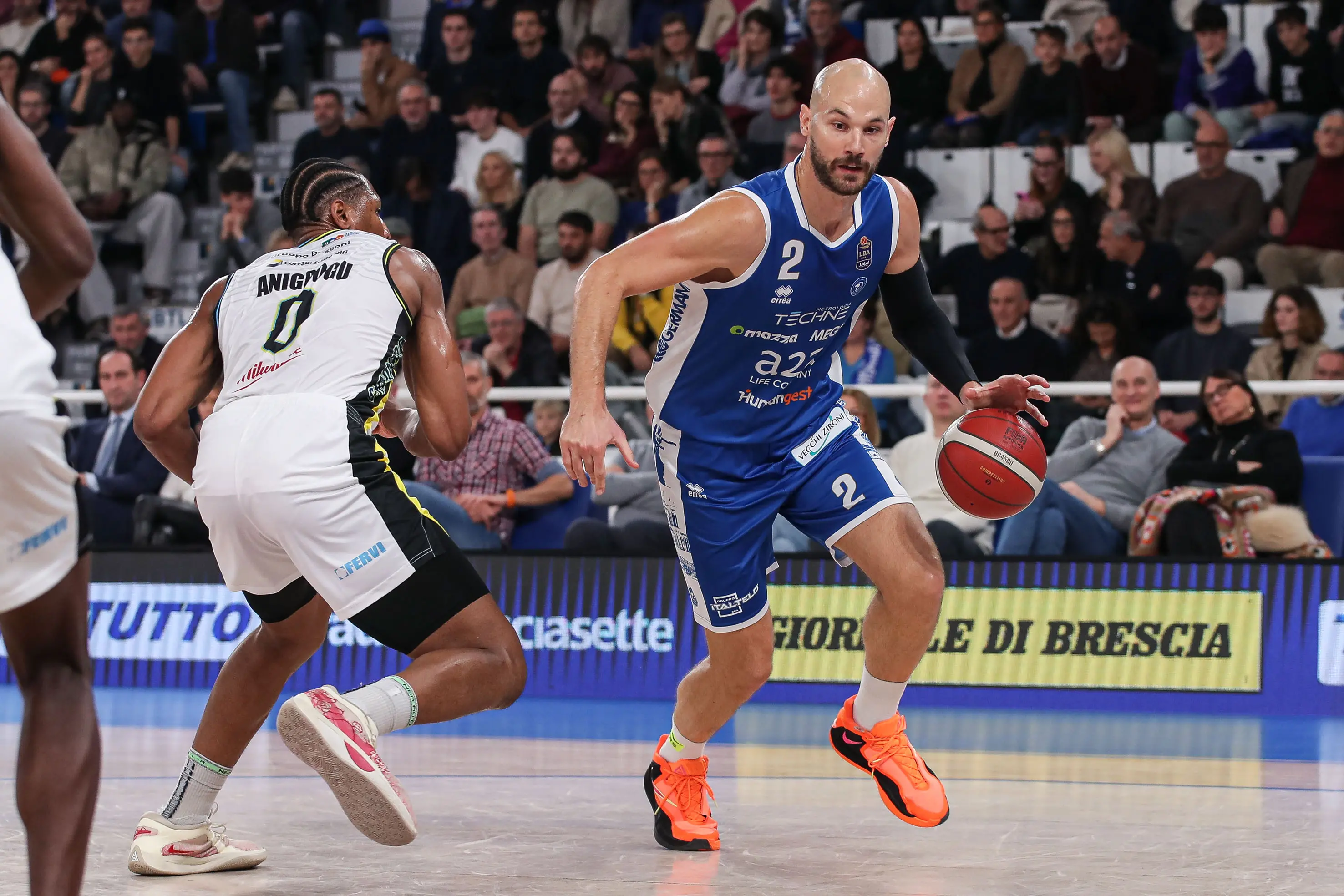 Germani-Cremona: le foto dal PalaLeonessa