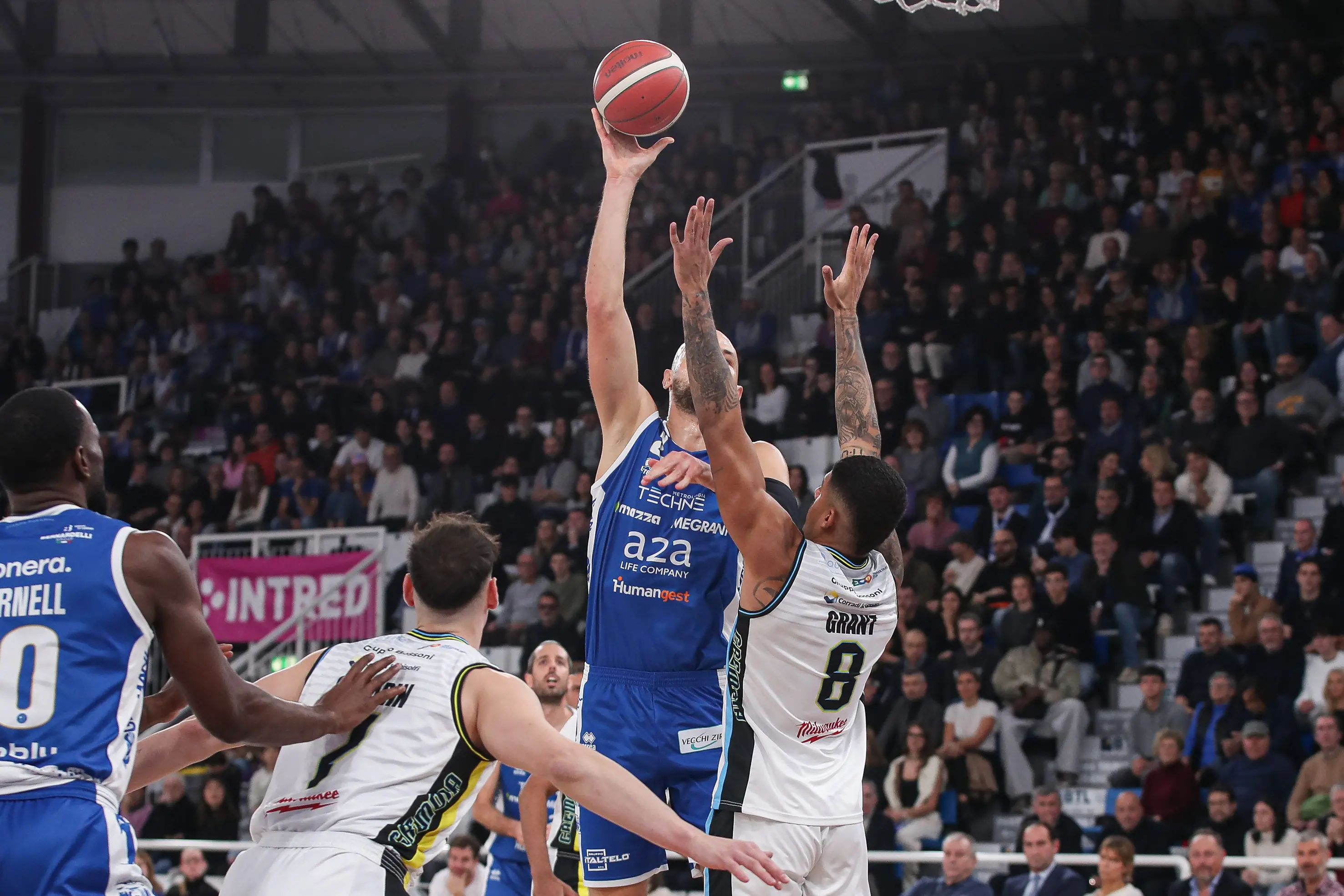 Germani-Cremona: le foto dal PalaLeonessa