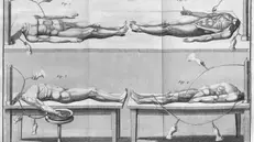 Una delle tavole conservate in Cattolica