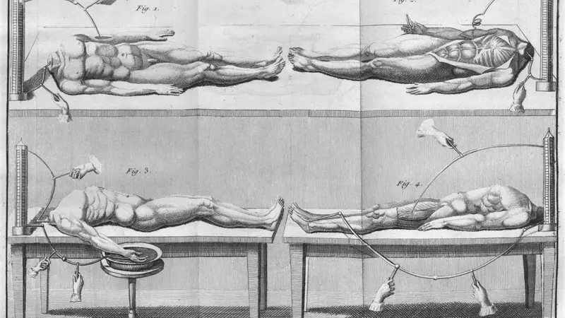 Una delle tavole conservate in Cattolica