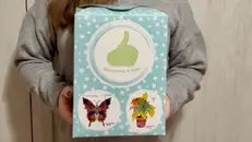 Il panettone è già in vantaggio sul pandoro, distribuiti i primi mille