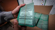 Schede elettorali in un seggio campano - Foto Ansa © www.giornaledibrescia.it