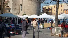 Una manifestazione in piazza Treccani - © www.giornaledibrescia.it