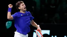 L'esultanza di Cobolli - Foto Ansa/Serena Campanini © www.giornaledibrescia.it