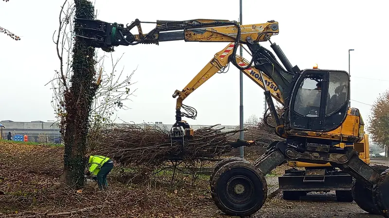 Il pioppo abbattuto al parco di via Anna Frank - © www.giornaledibrescia.it