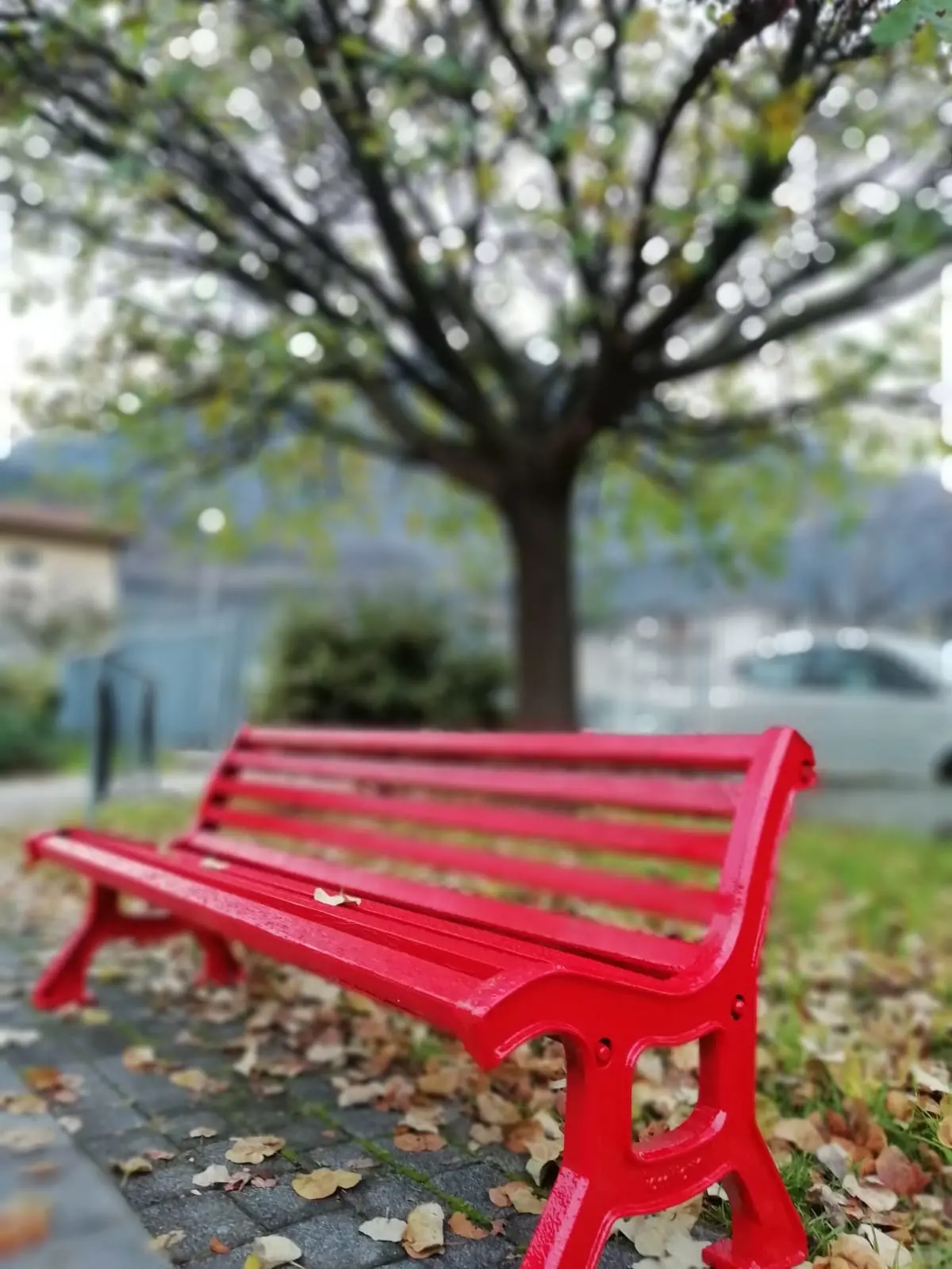 Le panchine rosse il Val Camonica