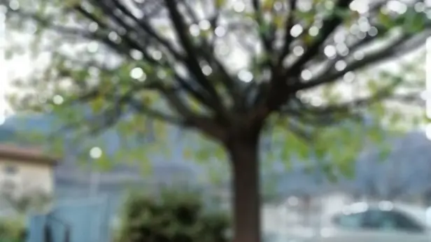 Le panchine rosse il Val Camonica