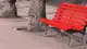 Le panchine rosse nel Garda