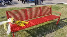 Alcune panchine rosse in Val Sabbia