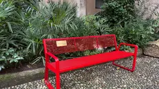 Alcune panchine rosse in città