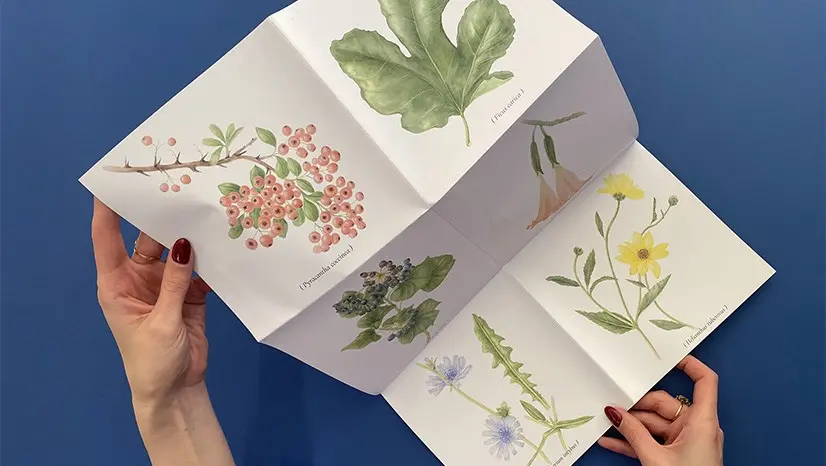 Appuntamento speciale il 17 dicembre con la botanica