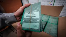 Schede elettorali - Foto Ansa © www.giornaledibrescia.it