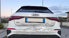 Le auto dell'inseguimento nella Bassa